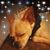 Tracy Frame's profile image