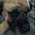 Shannon Stokoe Wonderlich's profile image