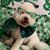 Marc McIntosh's profile image