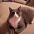Karen Leigh Mattingly's profile image