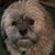 Greg Bruchman's profile image