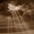Joseph Albert Badura's profile image