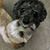Marie A Saldate's profile image