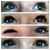 Patti Lambert Dattilo's profile image