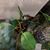 Guila Wright's profile image