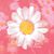 Pam Arriola's profile image