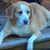 Todd Veden's profile image