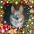 Dena Wargo's profile image