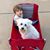 Marissa Davies Fritts's profile image