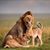 Jennifer Pappas's profile image