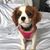 Randi Mehlman's profile image
