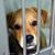 JoAnne Porras Thayer's profile image