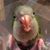 Js List's profile image