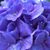 Laura K. Aiken's profile image