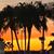 Ebbie Barksdale VandenBrink's profile image