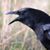 Melissa Markham Haney's profile image