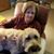 Pat Boysen Ervin's profile image