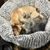 Helena Flores's profile image