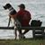 Kenneth Yarbrough Jr's profile image