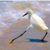 Dhemit Grumbul's profile image