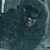 Michael Machota's profile image