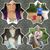 Sherri Hill's profile image
