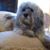 Amy Blankenship's profile image
