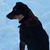 Beth Huss's profile image