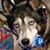 Teresa Cedrone Mitchell's profile image