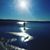Ola Mattsson's profile image