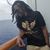 DeVaughn Kidd Collins's profile image