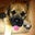 Jeannette Pawula's profile image