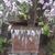 Sharon Focht's profile image