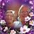 Shelley Johnson's profile image