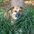 Jack Kendall's profile image