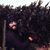 Julian Wukitsch's profile image