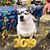 Jenny Hodges's profile image