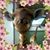 Gina Benton's profile image
