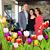 Elham Morshedzadeh's profile image