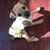Dawn Bishop's profile image