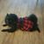 Kori Wasinger's profile image