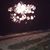 Corine Swint's profile image