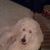 Melissa Wilson Hamms's profile image