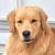 Mooch Healy's profile image