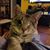 Liz Fahy Scott's profile image