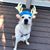 Alisa Samantha Rottenberg's profile image