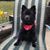 Gartland K Kimberly's profile image