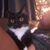 Sonia Lazo's profile image
