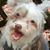 Pamela Fill's profile image