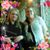 Misty Stephenson's profile image